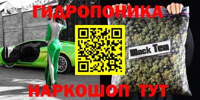 винт Кингисепп